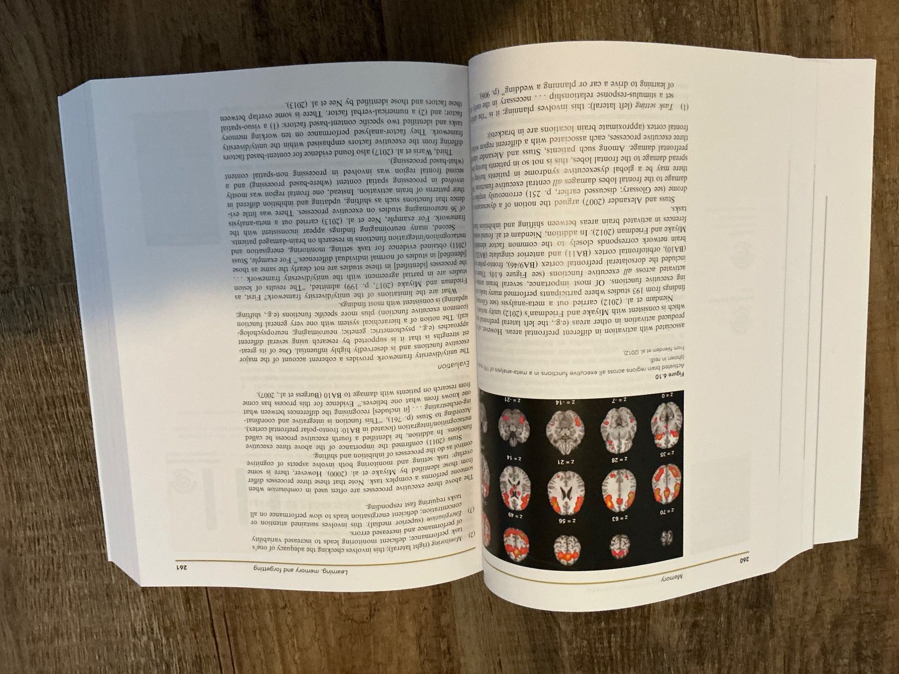 Libri: Cognitive Psychology - A student‘s handbook – Nuovo (secondo la descrizione) da Rheineck venduto da ann_m6zp 2
