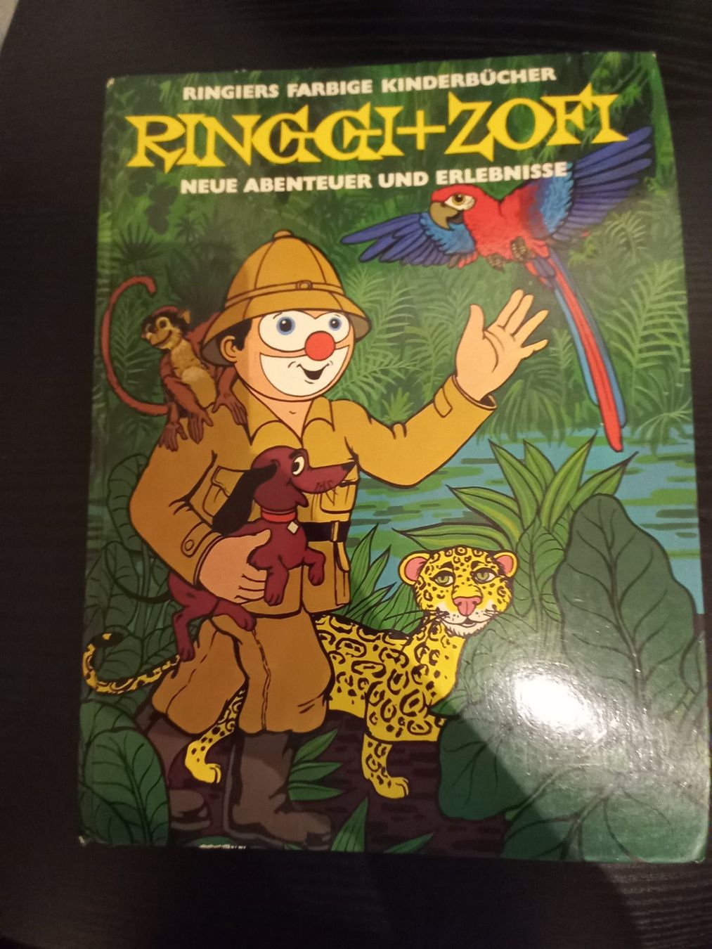 Comics: Ringgi + Zofi – Gebraucht aus Kriens von adr_f6fh