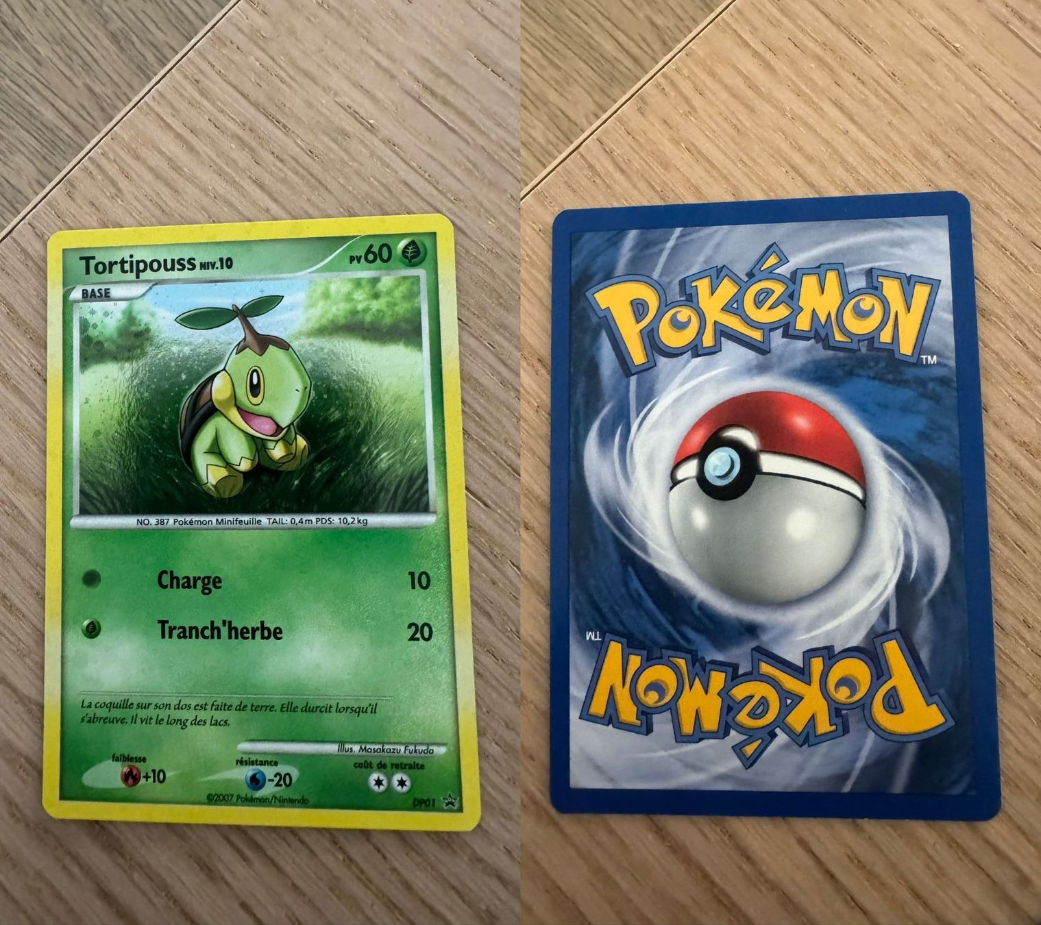 Pokémon Carte collezionabili: Tortipouss DP01 holo – Usato da Chavannes-Renens venduto da skywalker1942