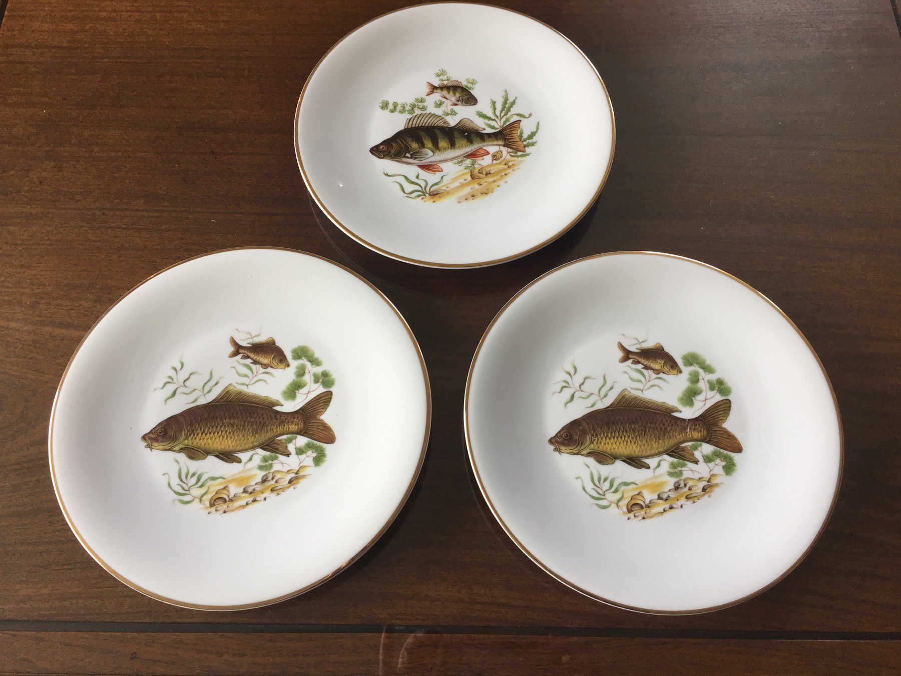 Servierplatten: Magnifique plat à poisson + 8 assiettes – Gebraucht aus Chernex von nounours2010 3