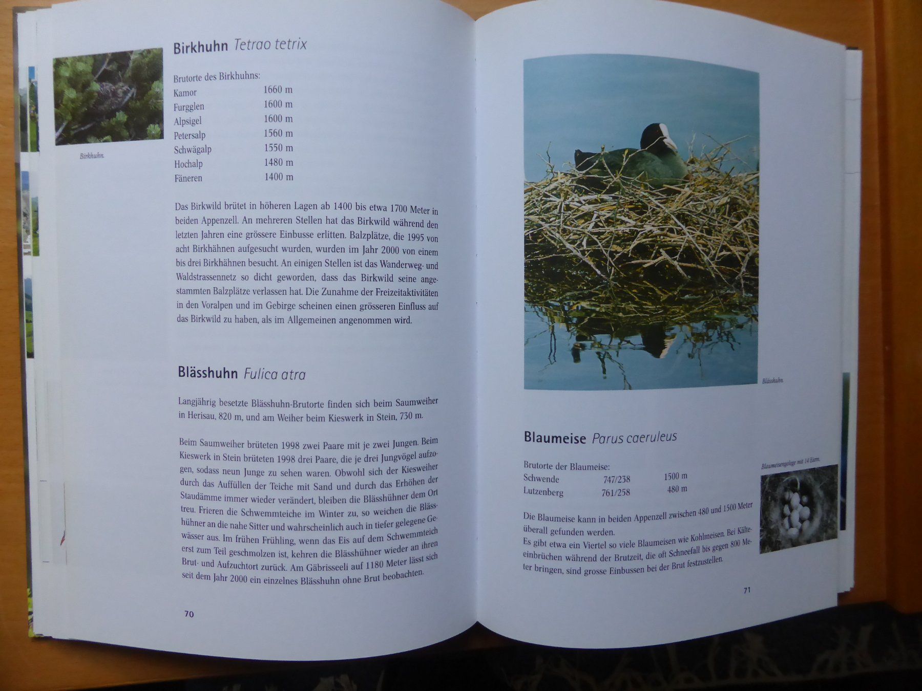Bücher: Vögel im Appenzellerland – Neu (gemäss Beschreibung) aus Brunnadern von lesezirkel 3