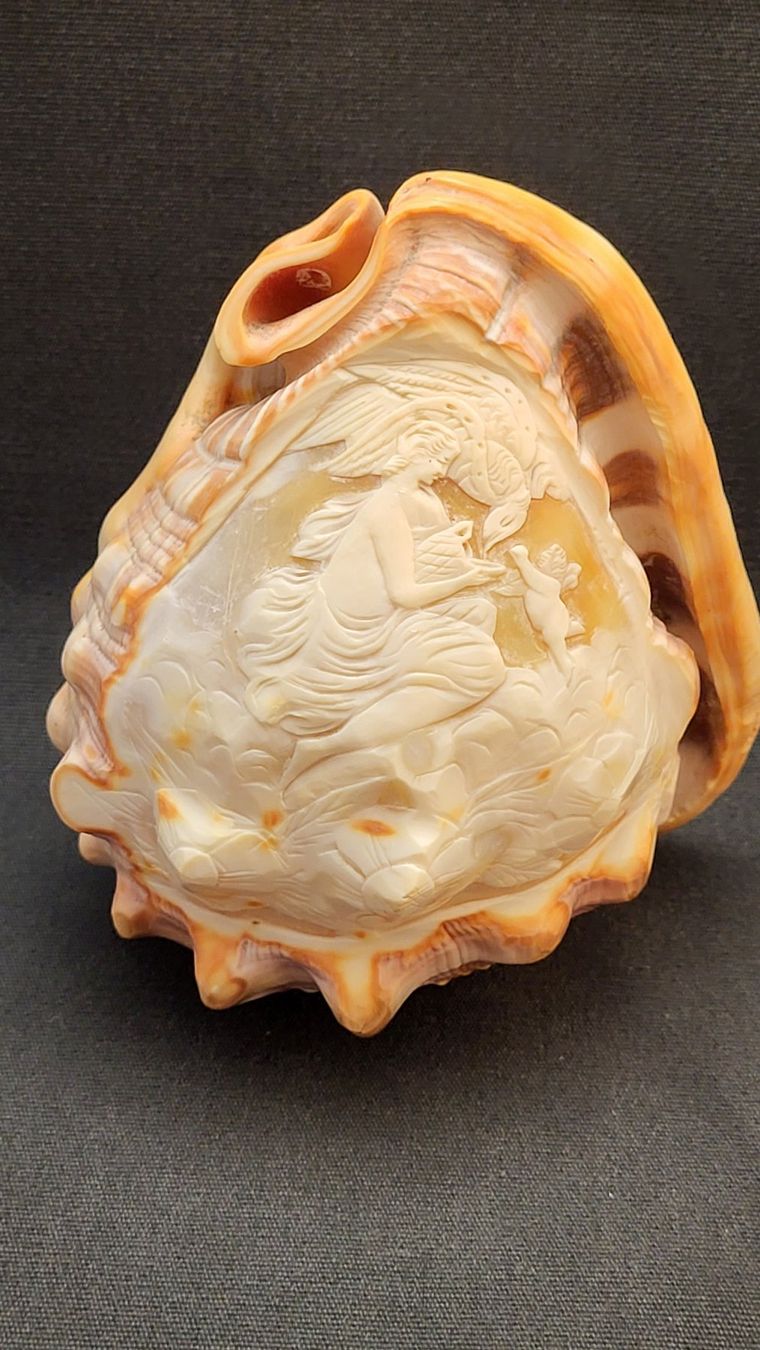 Figuren: Handgeschnitzte Cameo-Muschel – Gebraucht aus Basel von spinne02 1