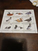 Feuille de timbres Tadjikistan 1999 - Oiseaux rares!