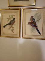 Alte Lithographien, sehr detailliert und schön