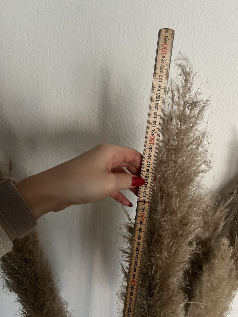 Tutte le decorazioni: Pampas Gras inkl. Vase – Usato da Tuggen venduto da Tantas 1
