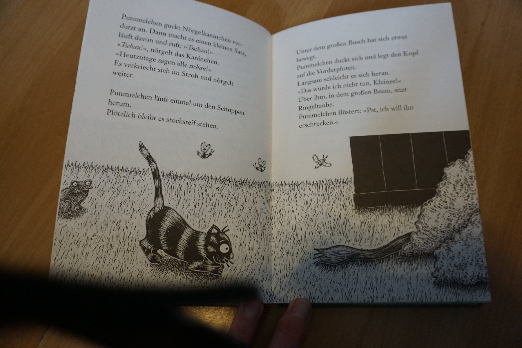 Bücher: Buch Napoleon/Ein Kater macht Geschichten – Gebraucht aus Zürich von einalemjena 2