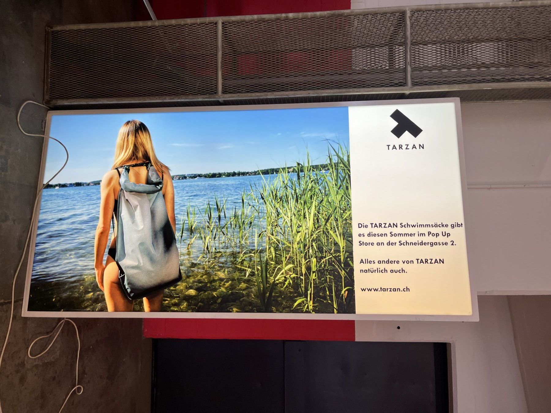 Tutte le decorazioni: Leuchtkasten 220V – Usato da Basel venduto da Mrieder