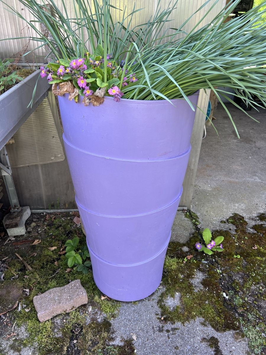 Eternit Blumentöpfe: Eternit Blumentopf – Gebraucht aus Hurden von MCRC_Plastics 2