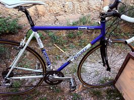 Ritchey Break Away