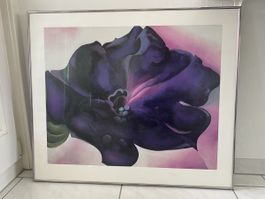 Bilderrahmen Aluminium 88 x 76 cm mit entspiegelte Glas