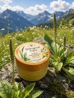 Spitzwegerich Salbe Handmade 