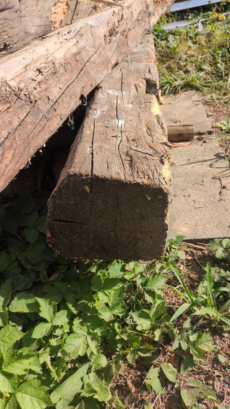 Holzartikel: Altholzbalken – Gebraucht aus Zwillikon von gomer 4