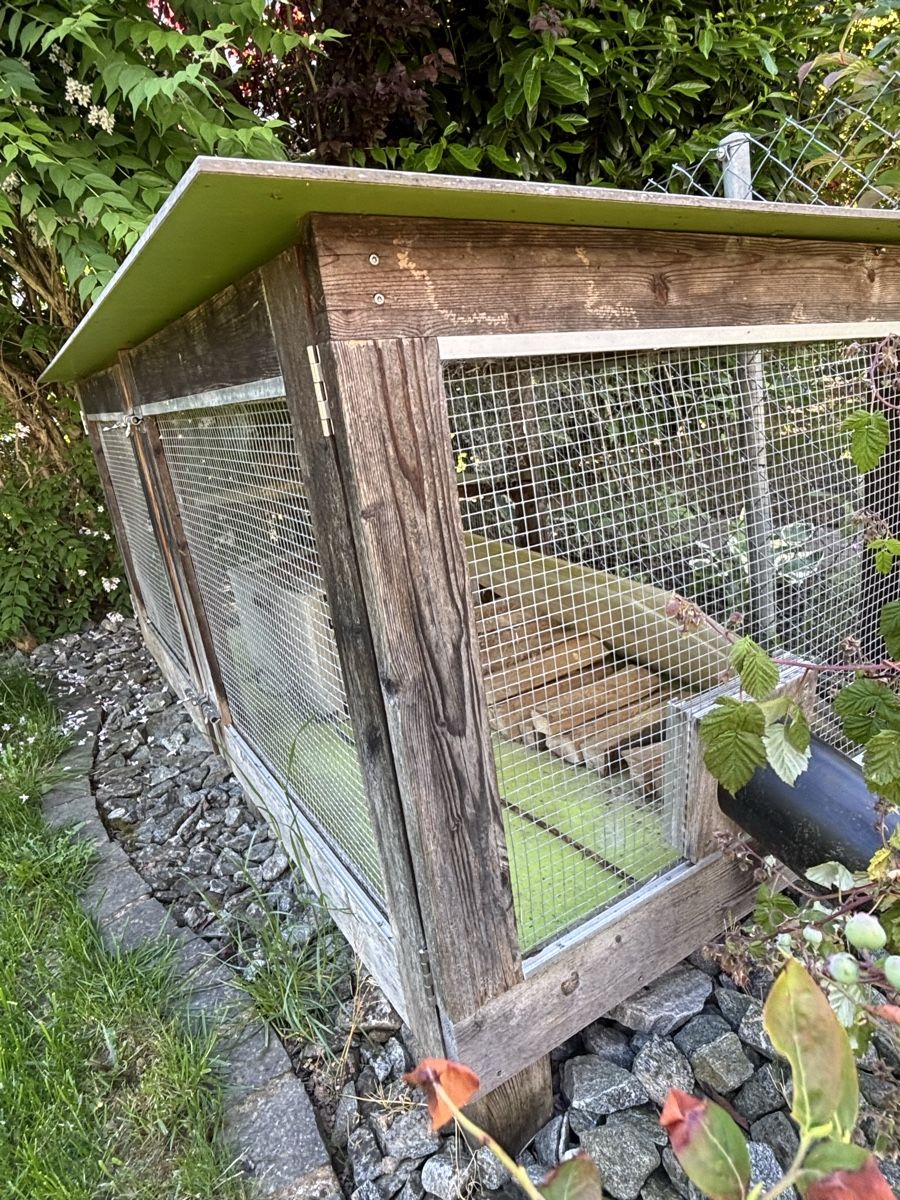 Käfige, Transport & Sicherheit: Meerschweinchen Käfig – Gebraucht aus Reinach BL von Jan_Bsl 1