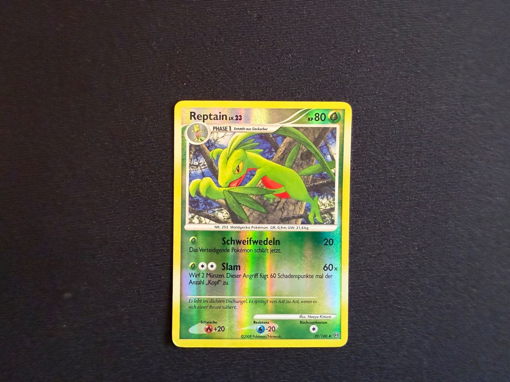 Pokémon Carte collezionabili: Reptain / 39/100 – Usato da Zürich venduto da mountainwizard00