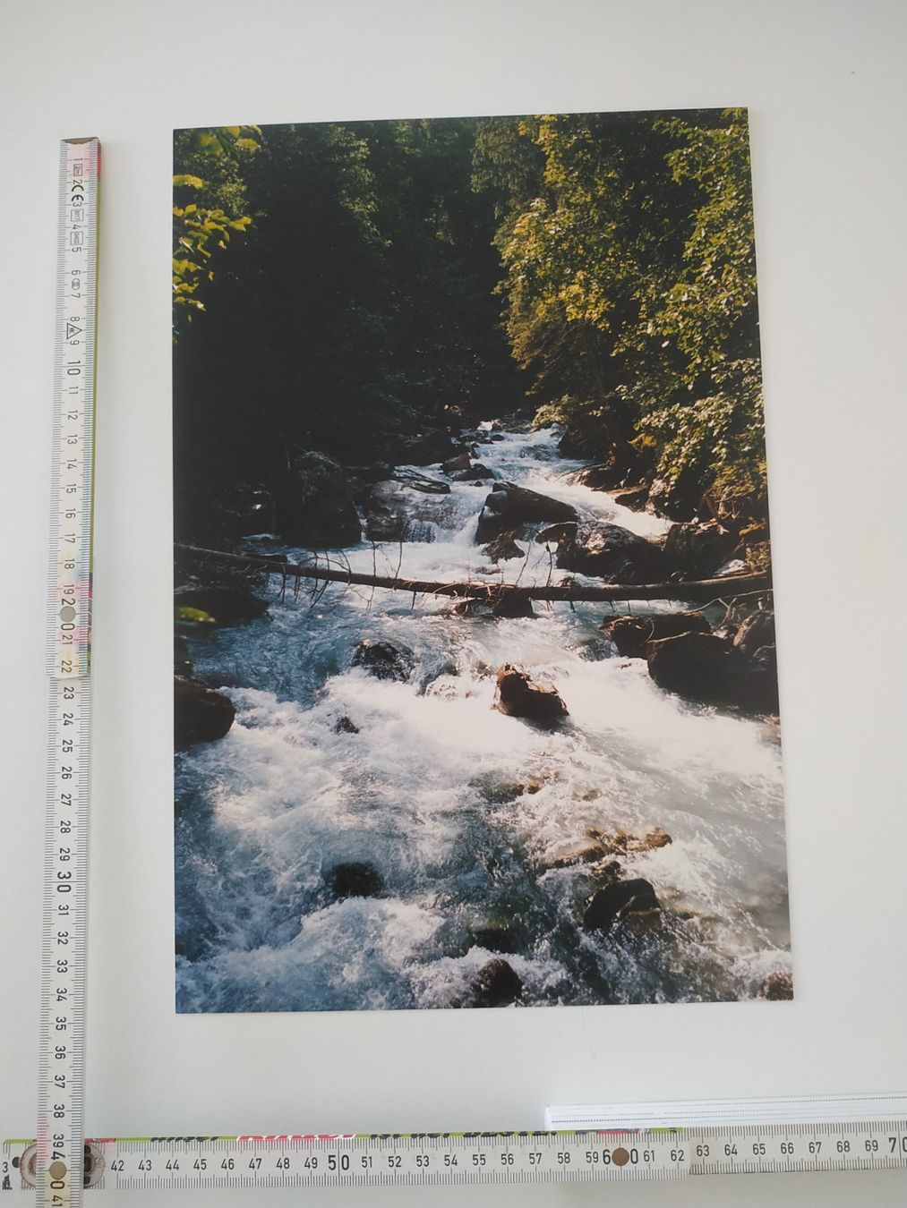 Foto & Immagini: Foto "Bach" 24x35cm – Nuovo (secondo la descrizione) da Wangs venduto da son_klein 1