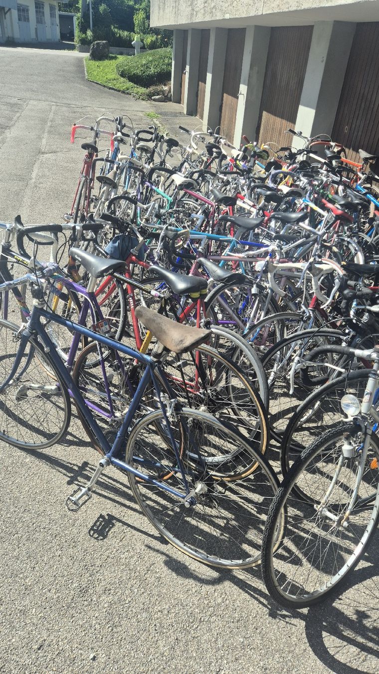 Biciclette: Rennvelos zu verkaufen – Usato da Rämismühle venduto da beni0010 2