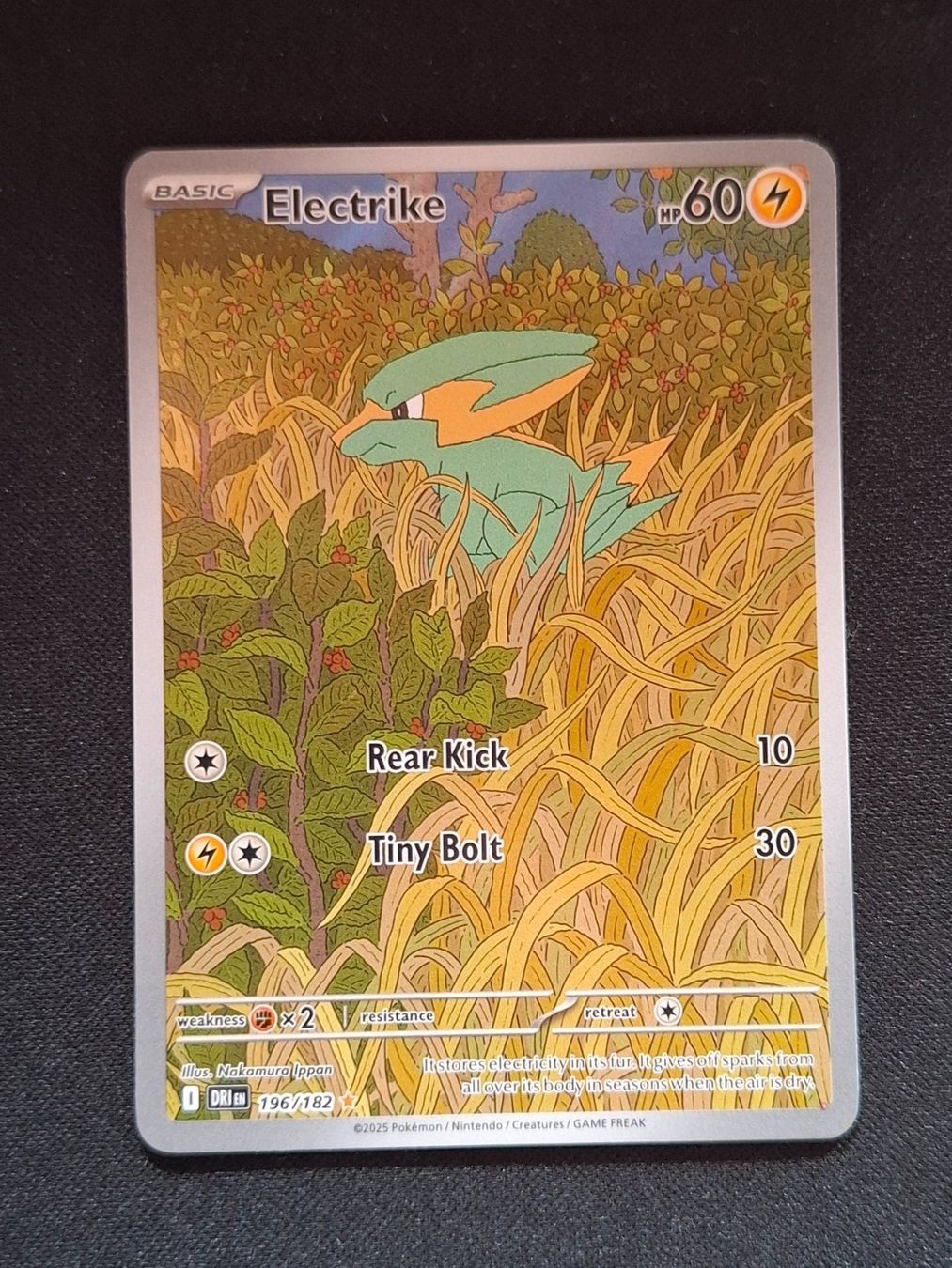 Pokémon Carte collezionabili: Pokemon Electrike 196/182 DRI – Nuovo (secondo la descrizione) da Gammen venduto da Karbax