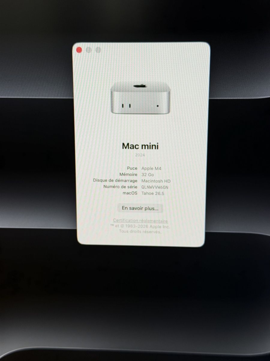 Apple PCs: Apple Mac mini M4, 32GB RAM, 2TB SSD – Neu (gemäss Beschreibung) aus Lausanne von oenix 4