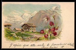 Lithographie Wengernalp, Zwischen Lauterbrunnen & Grindelwal