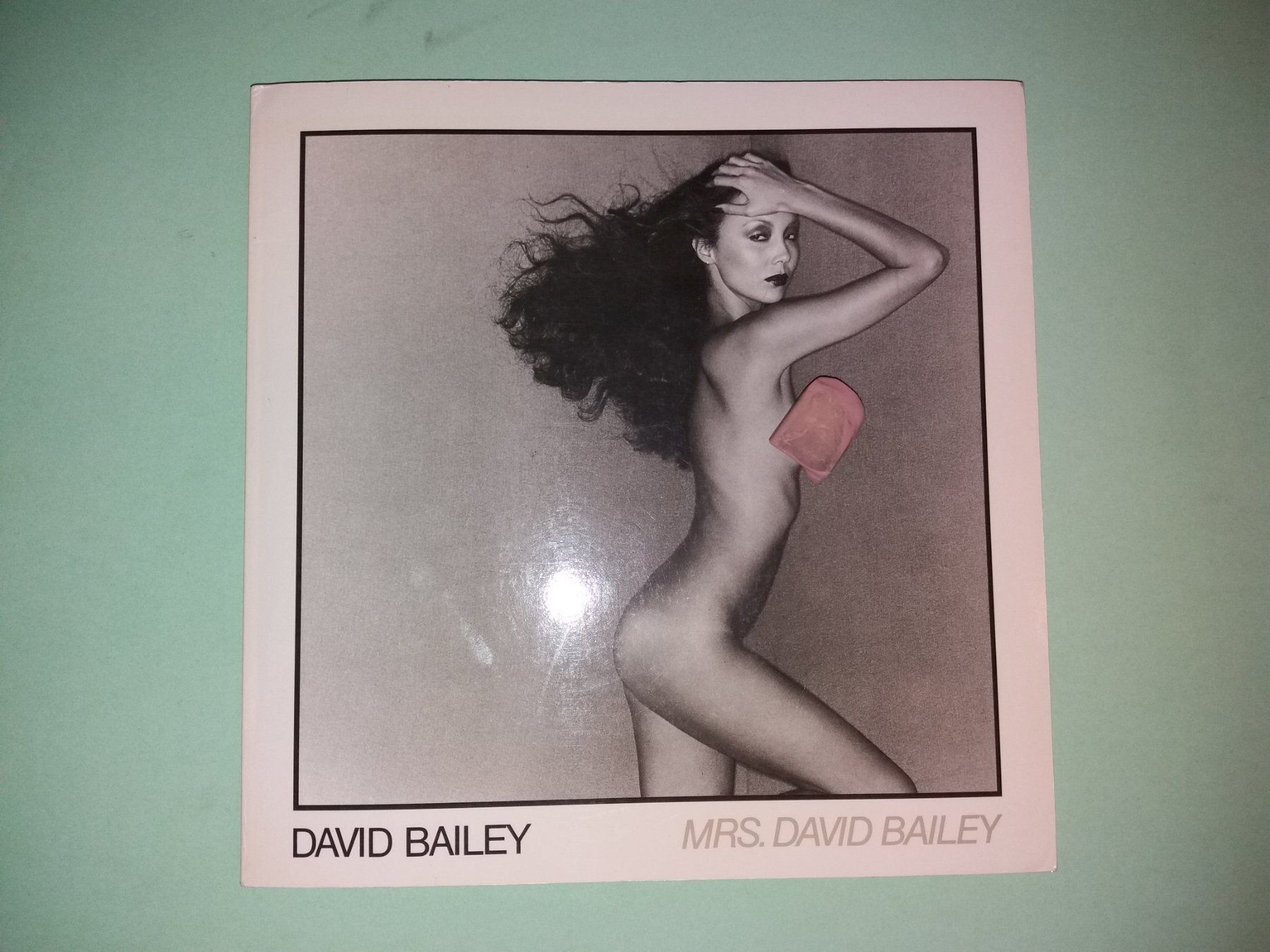 Libri: DAVID  Bailey Fotoklassiker – Usato da Welschenrohr venduto da Regool 8