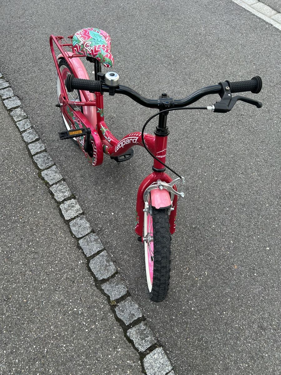 Leopard Biciclette: easy cat wenig gebraucht – Usato da Egerkingen venduto da G1970B 3