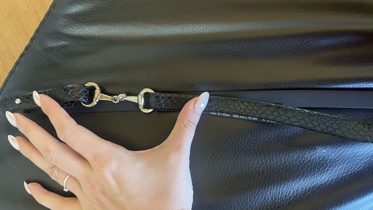 Massimo Dutti Gürtel: Snakeskin Print Belt with Silver Clasp (M) – Gebraucht aus St-Gingolph von Ynatka 1
