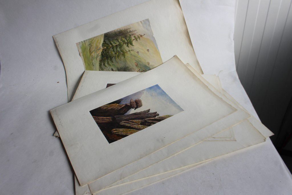 Gemälde: Aquarelles Alpes valaisannes XIXe siècle – Gebraucht aus Vandoeuvres von Dom-Tom