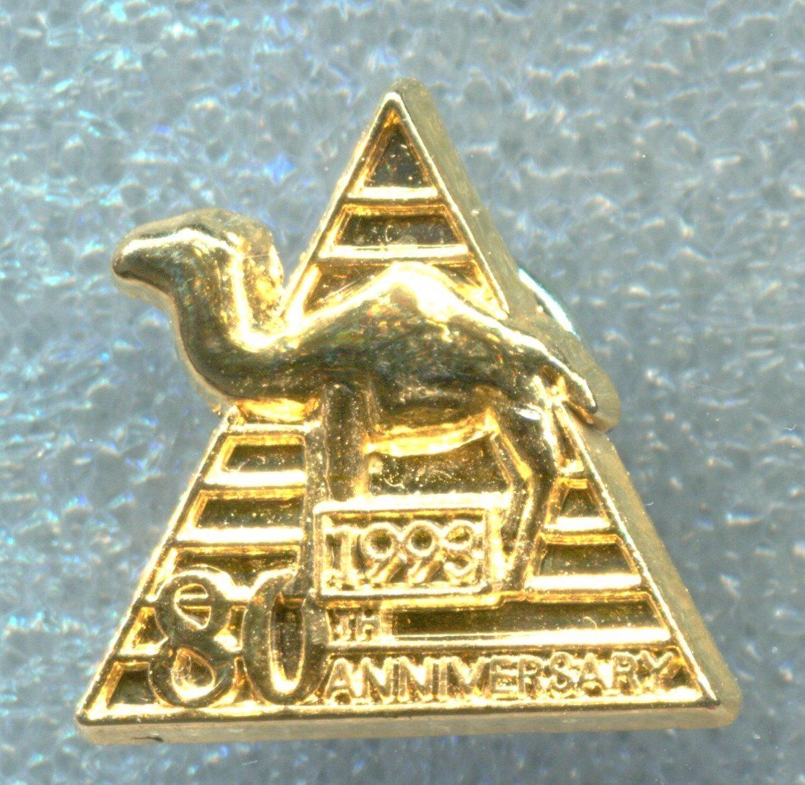 Camel Plaketten & Abzeichen: CAMEL  1993 – Gebraucht aus Winterthur von Sammleroase