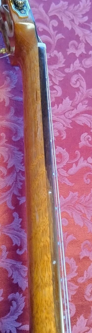Aria Strumenti musicali: Aria A-60CWE – Usato da Bellinzona venduto da Notturno13 4