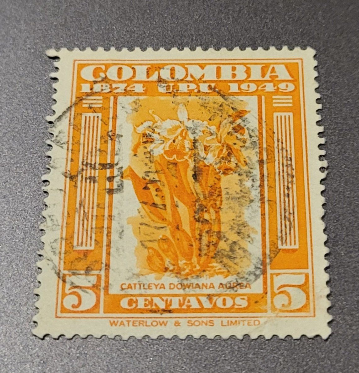 Tutti i francobolli: Kolumbien 1950 blumen alte briefmarke – Usato da St Gallen venduto da Stampsalshobby