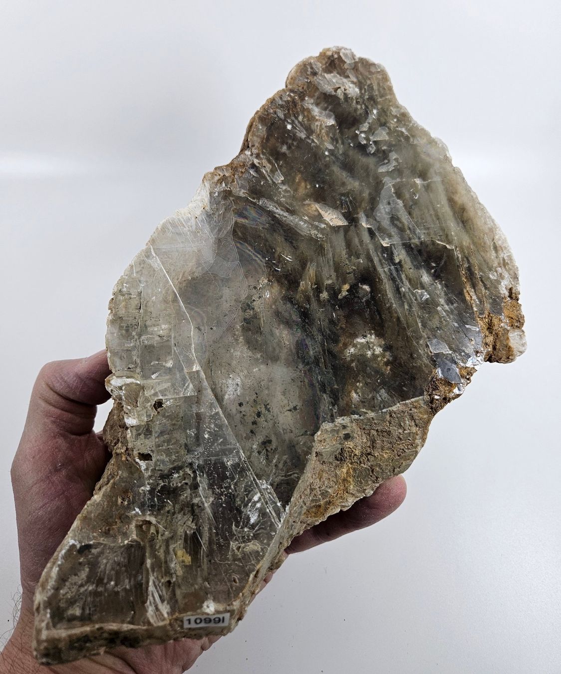 Minerali & Pietre curative: Gipsstufe, Südtunesien – Usato da Uzwil venduto da Chobel1 3