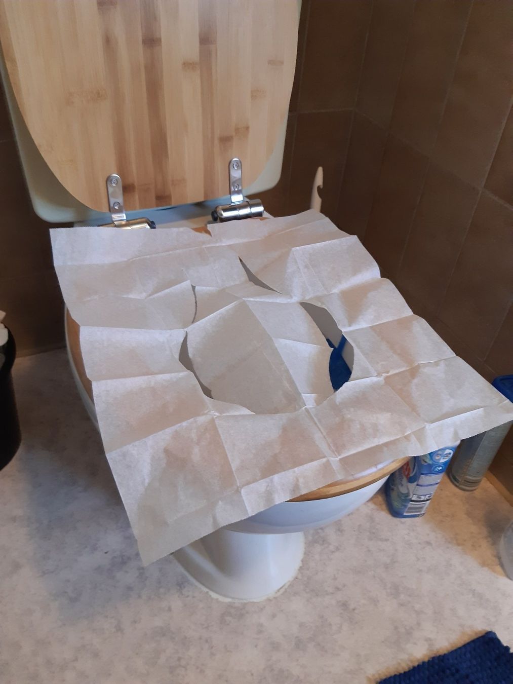 WC: WC Schutzauflage Papier 1 pack mit 10 stk – Neu und originalverpackt aus Derendingen von Gaston.J 4
