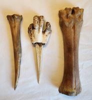 3x Antike Knochenwerkzeuge Knochenpfriem Vogelknochen Set
