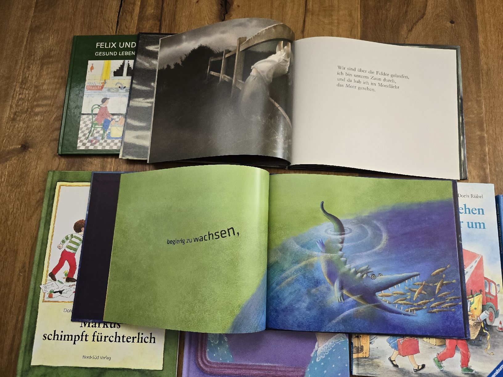 Libri: bücher set – Usato da Wittenbach venduto da Tigerlili 2