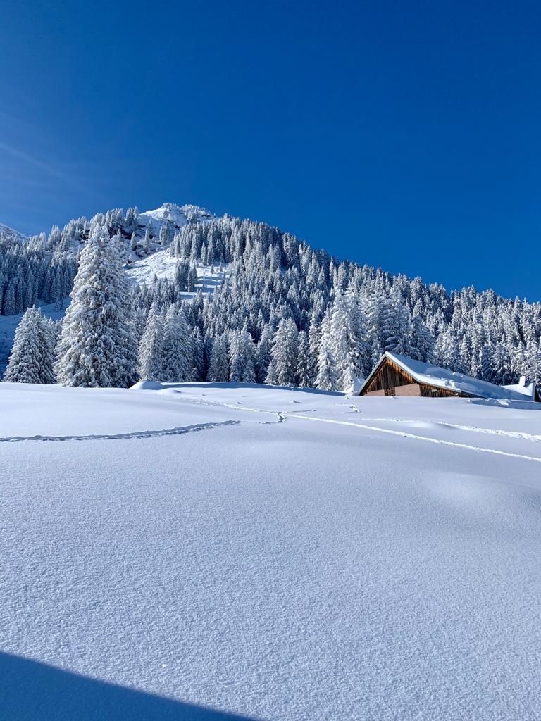 Board: Snowboardcross Snowboards Super (wie Kessler oder oxess) – Nuovo (secondo la descrizione) da Winterthur venduto da Lutz4917 1
