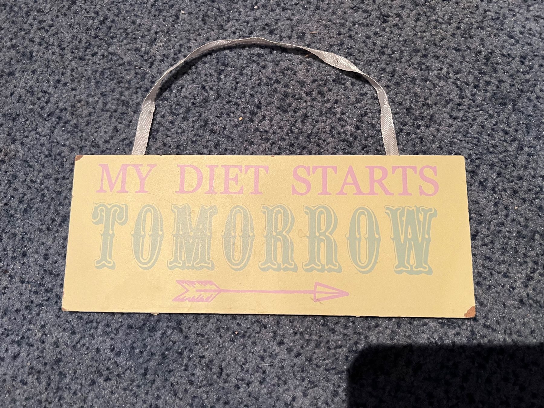 Insegne: Wandschild Vintage - "Meine Diät beginnt morgen" – Usato da Ruggell venduto da Malbuntiger01