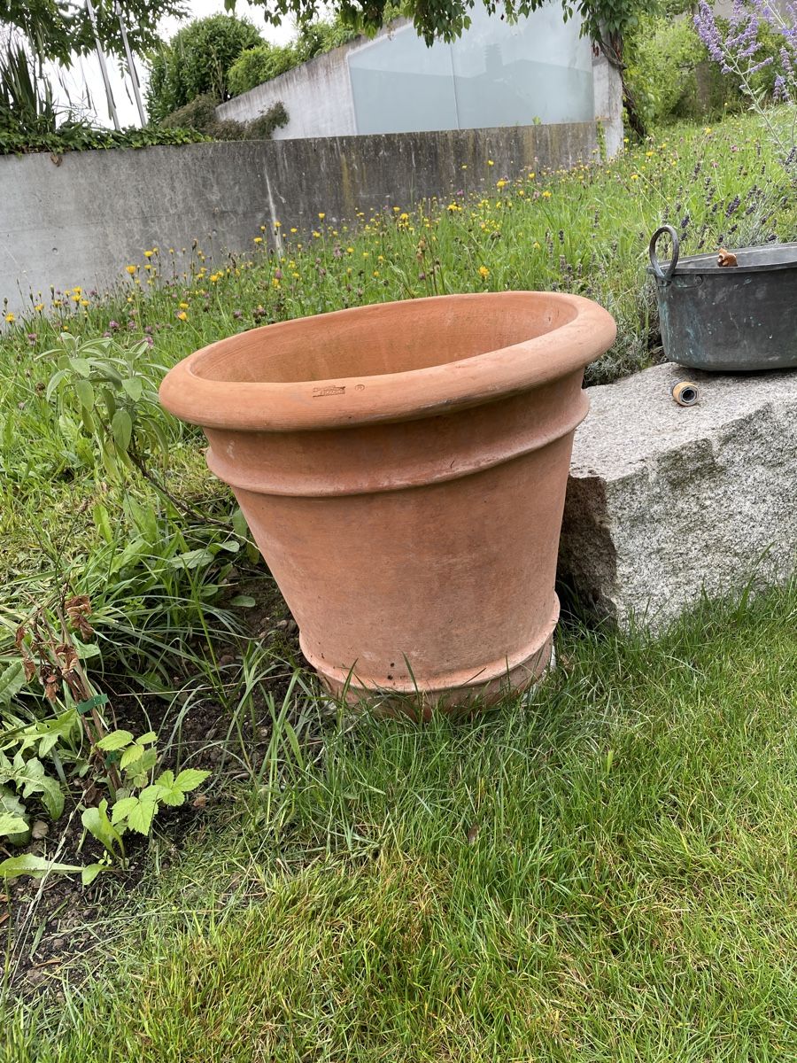 Vasi per fiori: Terracotta Topf – Nuovo (secondo la descrizione) da Bottighofen venduto da Mattafone 2