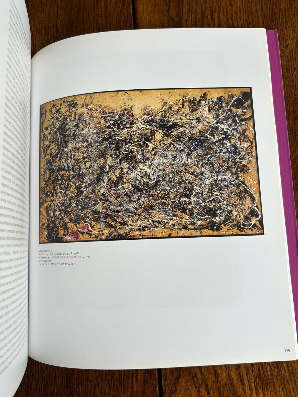 Libri: Ils ont regardé Matisse – Usato da Basel venduto da Peter_schlemihl 8