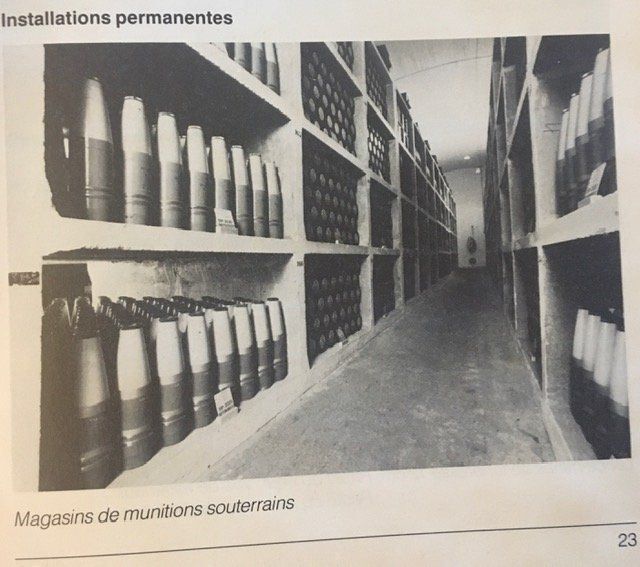 Libri: reglement armée suisse arme grenade char – Usato da Nyon venduto da 65d45