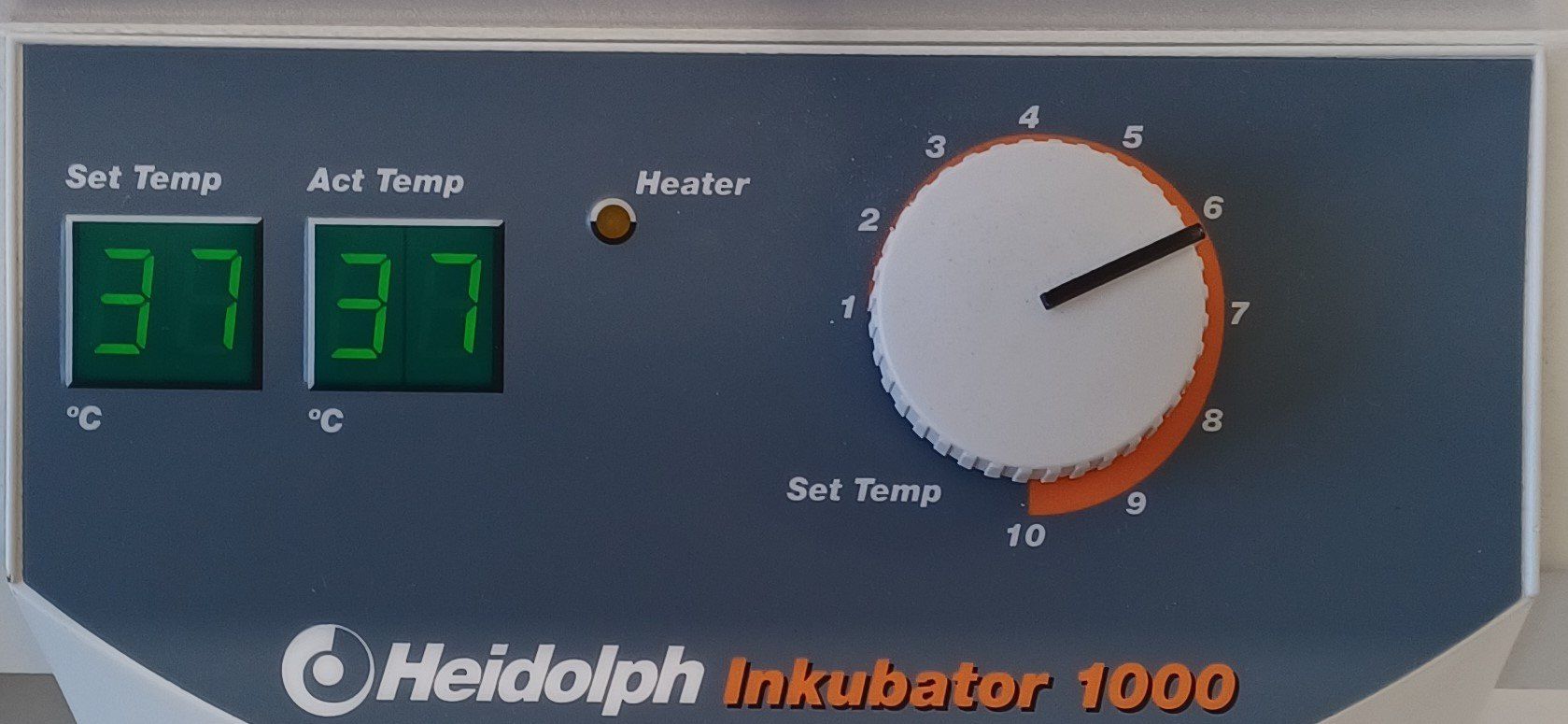 Laborzubehör: Heidolph Tritramax 1000 & Inkubator 1000 – Gebraucht aus Niederdorf von LeptonAG_Labor 6