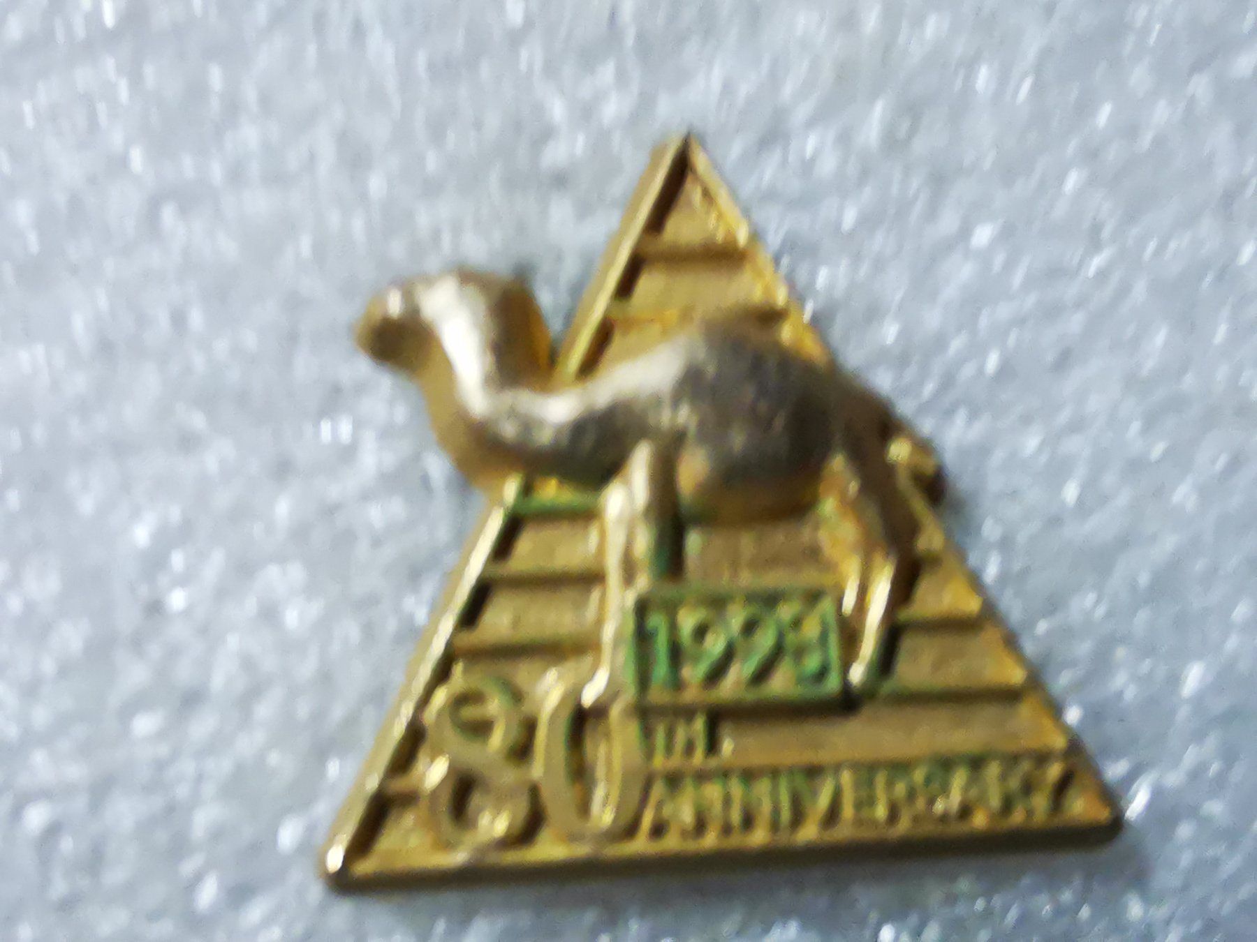 Placchette & Badge: Ansteckpin 190: Camel – Usato da Oppligen venduto da Pin-Fall-Shop