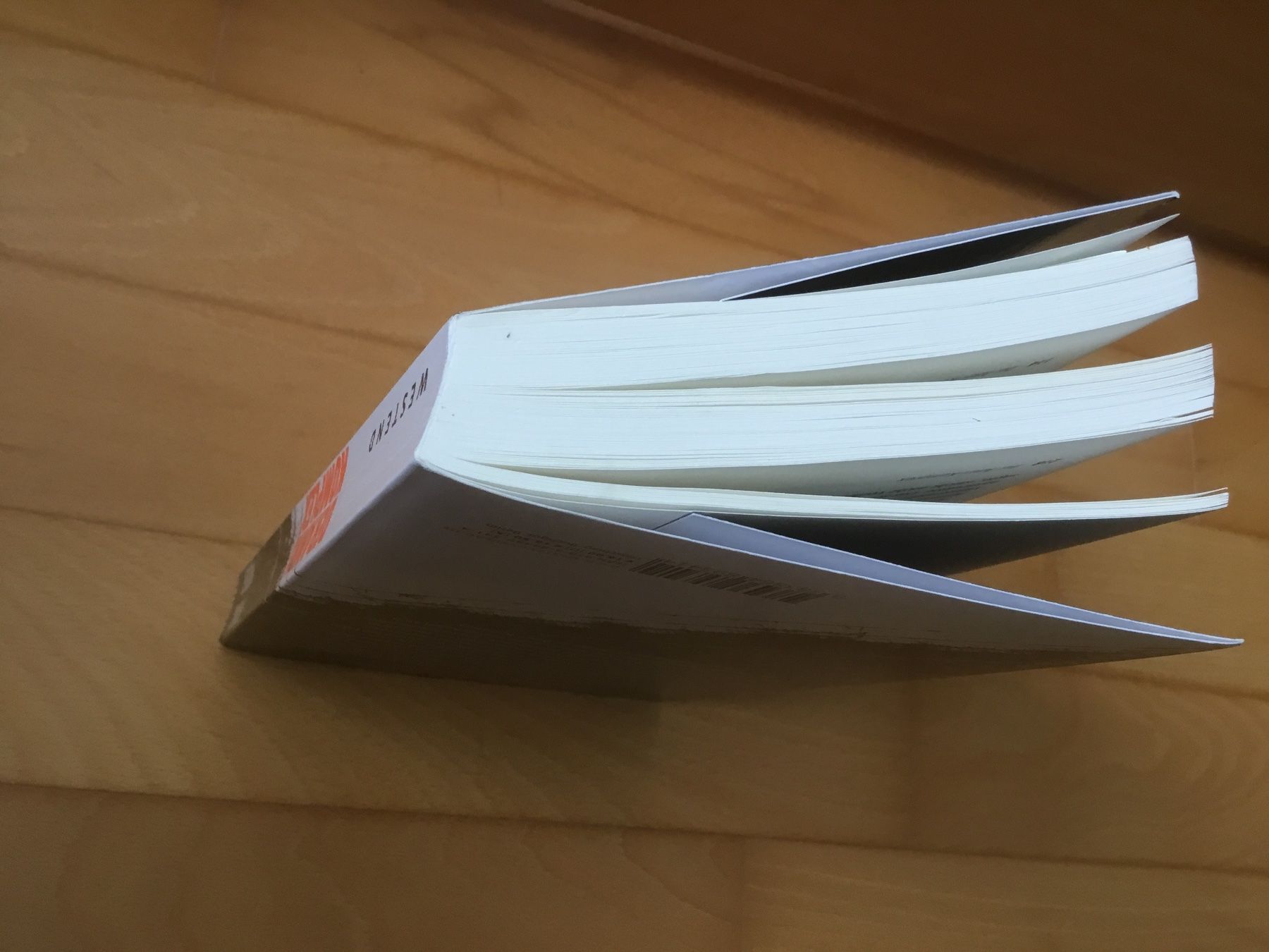 Bücher: Thomas Moser: Der Amri-Komplex – Gebraucht aus Kerzers von Georges3210 3