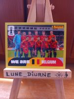 Sticker panini FIFA Belgique BEL 13