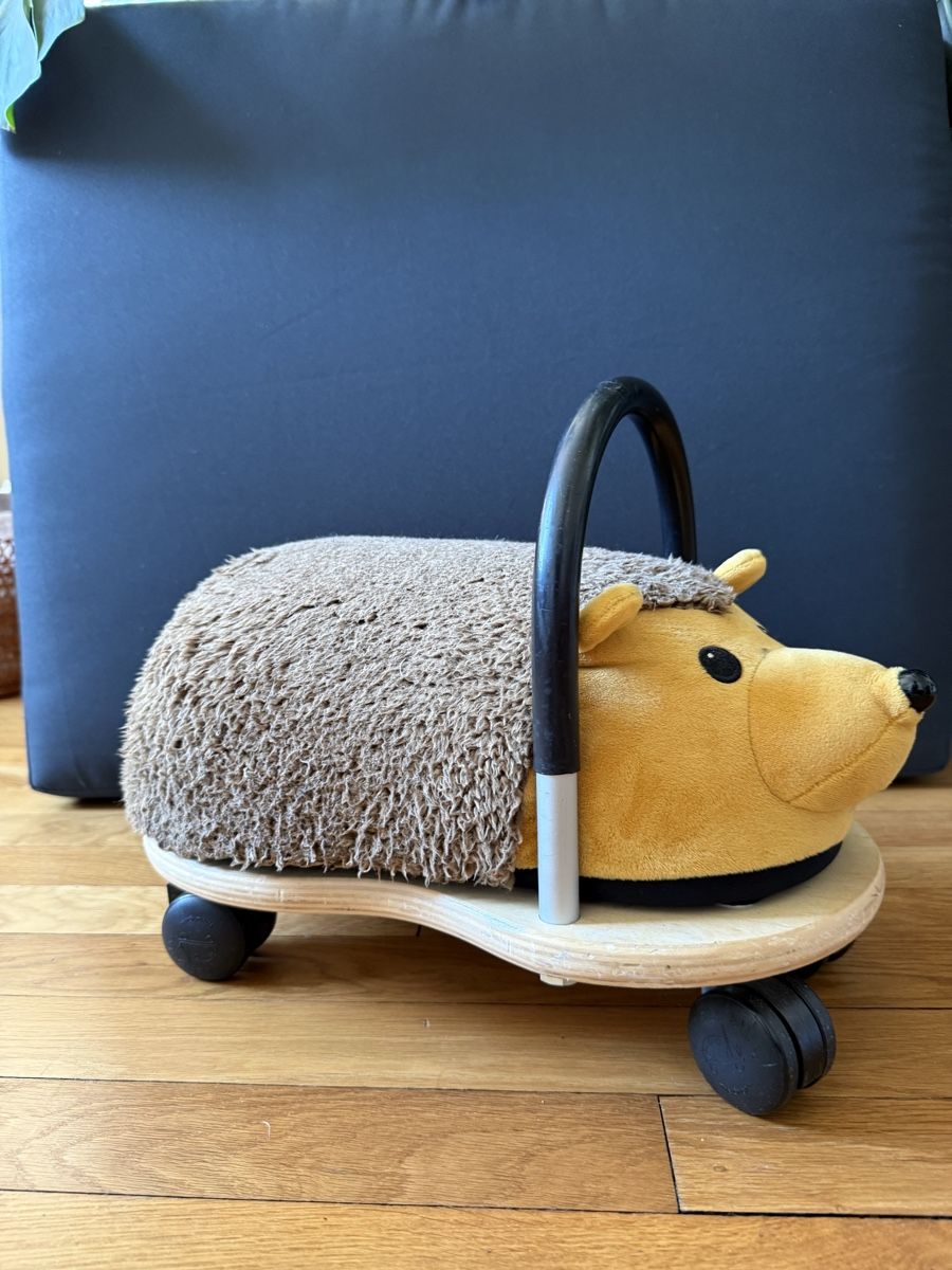 Fahrzeuge für Kinder: Wheely Bug Igel – Gebraucht aus Zürich von Soschi-25 1