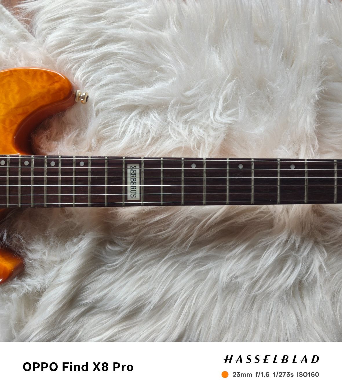 Strumenti musicali: Zerberus Q-Deluxe Jg. 2003 – Usato da Seuzach venduto da Markleeroy 5