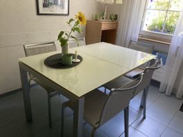 Glastisch (ausziehbar - ohne Stühle)