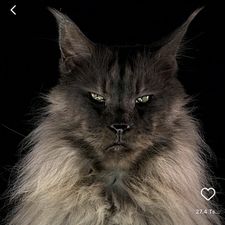 Profile image of Wotan01