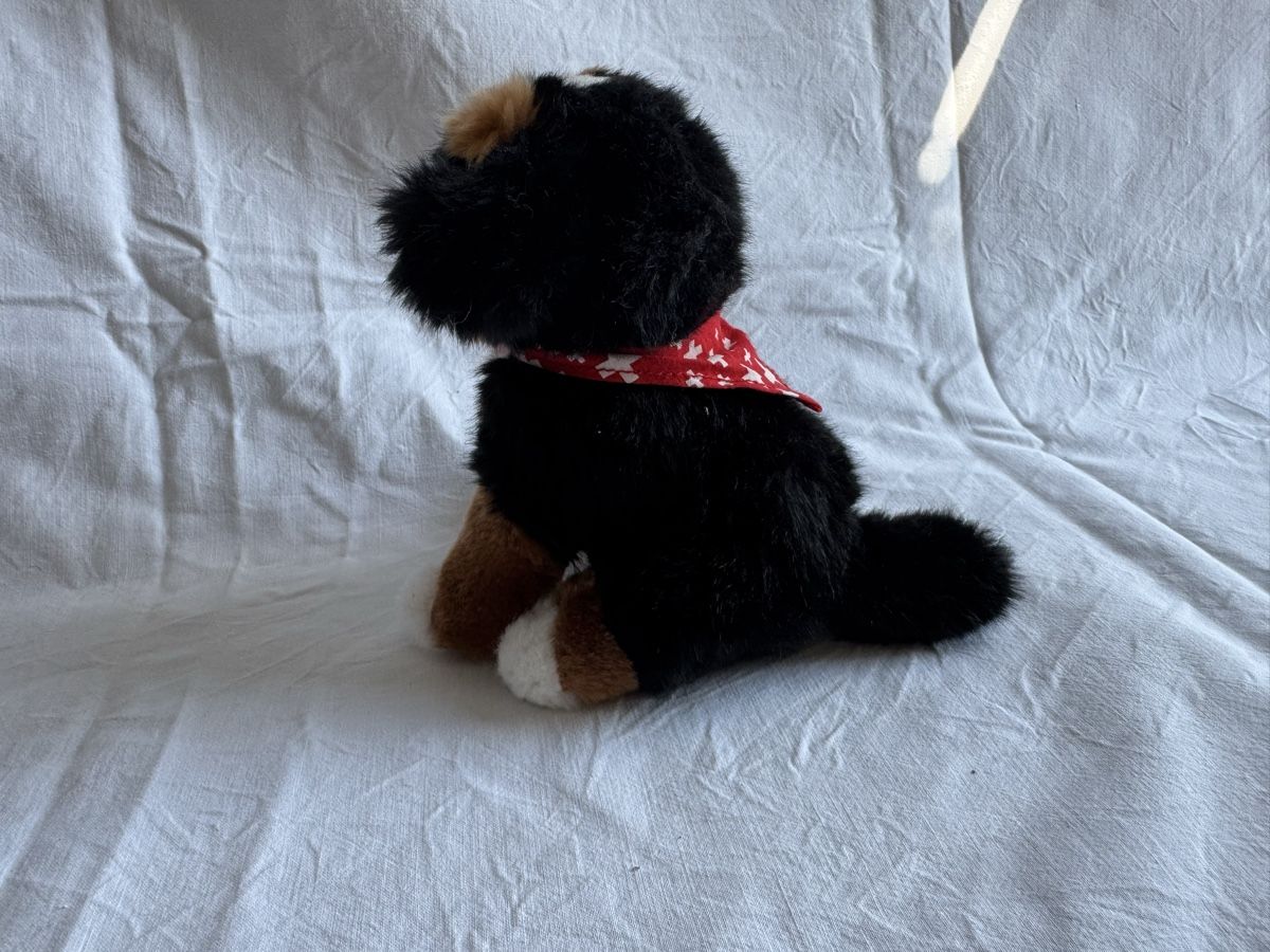 Spielzeuge: Schweizer Bernhardiner Familie – Gebraucht aus Bern von ava_l8tk 5