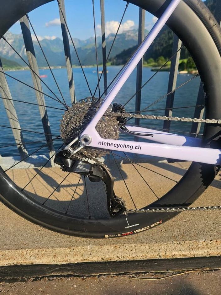 Pezzi di ricambio: Orbea Orca 2024+ direct mount Hanger – Nuovo e nell'imballaggio originale da Einsiedeln venduto da Bikegeek 2
