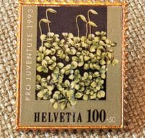 A873 - Pin PTT Pro Juventute Helvetia